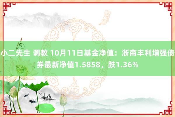小二先生 调教 10月11日基金净值：浙商丰利增强债券最新净值1.5858，跌1.36%