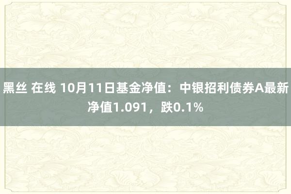 黑丝 在线 10月11日基金净值：中银招利债券A最新净值1.091，跌0.1%