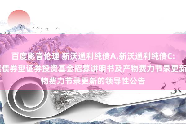 百度影音伦理 新沃通利纯债A,新沃通利纯债C: 新沃通利纯债债券型证券投资基金招募讲明书及产物费力节录更新的领导性公告