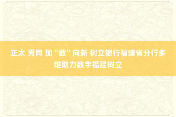 正太 男同 加“数”向新 树立银行福建省分行多维助力数字福建树立