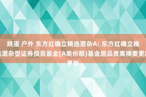 跳蛋 户外 东方红确立精选混杂A: 东方红确立精选混杂型证券投资基金(A类份额)基金居品贵寓摘要更新