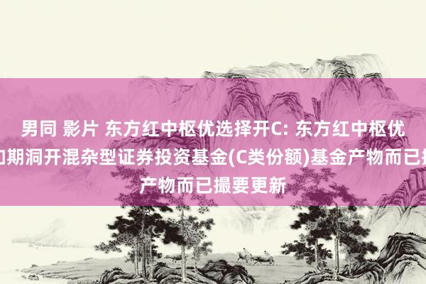 男同 影片 东方红中枢优选择开C: 东方红中枢优选一年如期洞开混杂型证券投资基金(C类份额)基金产物而已撮要更新