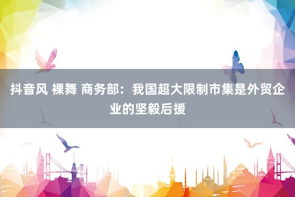 抖音风 裸舞 商务部：我国超大限制市集是外贸企业的坚毅后援