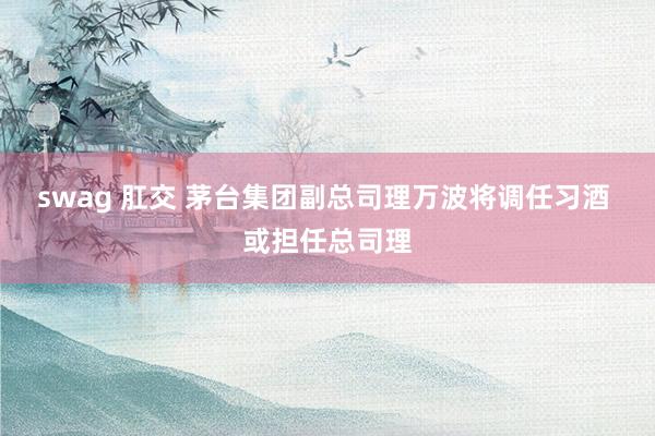 swag 肛交 茅台集团副总司理万波将调任习酒 或担任总司理