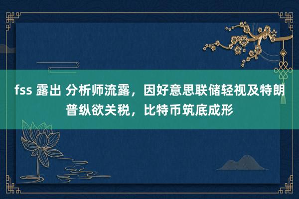 fss 露出 分析师流露，因好意思联储轻视及特朗普纵欲关税，比特币筑底成形