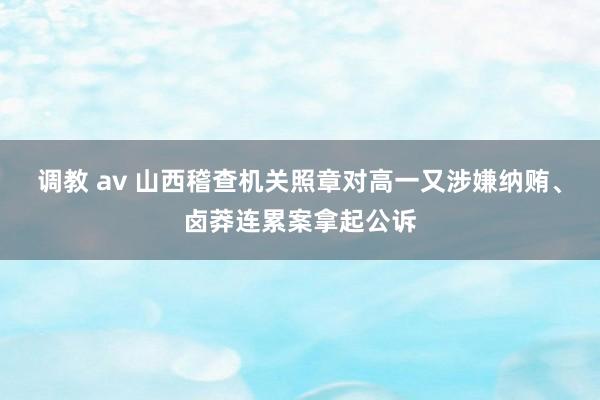 调教 av 山西稽查机关照章对高一又涉嫌纳贿、卤莽连累案拿起公诉