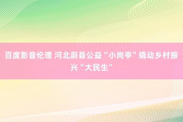 百度影音伦理 河北蔚县公益“小岗亭”撬动乡村振兴“大民生”