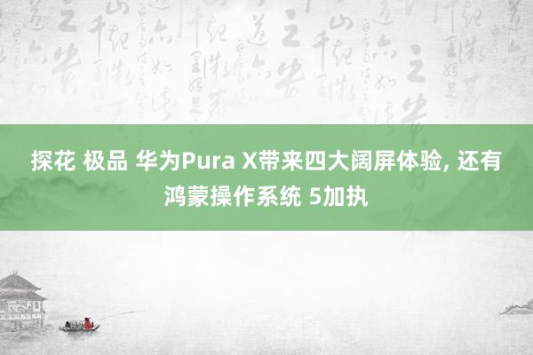 探花 极品 华为Pura X带来四大阔屏体验， 还有鸿蒙操作系统 5加执