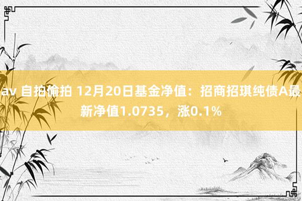 av 自拍偷拍 12月20日基金净值：招商招琪纯债A最新净值1.0735，涨0.1%