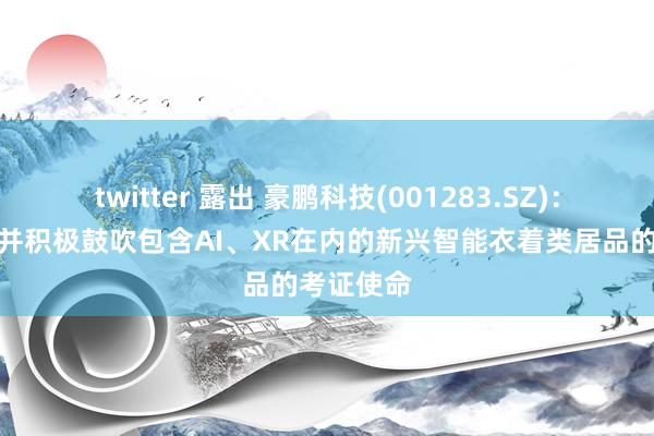 twitter 露出 豪鹏科技(001283.SZ)：加速研发并积极鼓吹包含AI、XR在内的新兴智能衣着类居品的考证使命
