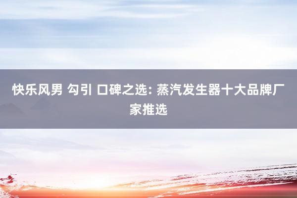 快乐风男 勾引 口碑之选: 蒸汽发生器十大品牌厂家推选