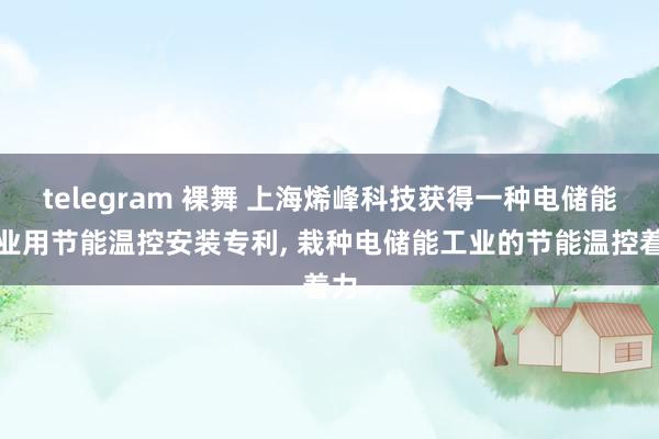 telegram 裸舞 上海烯峰科技获得一种电储能工业用节能温控安装专利， 栽种电储能工业的节能温控着力
