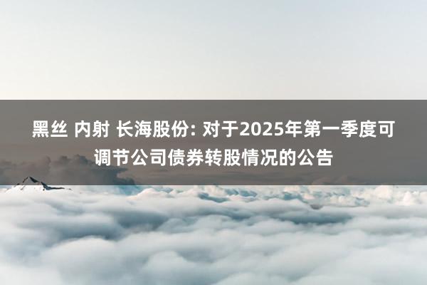 黑丝 内射 长海股份: 对于2025年第一季度可调节公司债券转股情况的公告