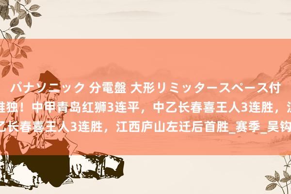 パナソニック 分電盤 大形リミッタースペース付 露出・半埋込両用形 唯独！中甲青岛红狮3连平，中乙长春喜王人3连胜，江西庐山左迁后首胜_赛季_吴钩_广州