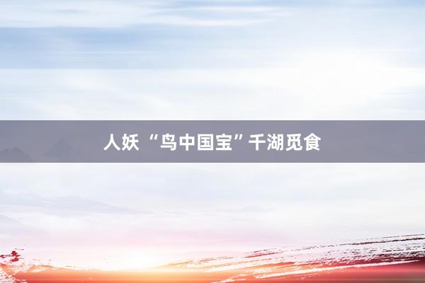 人妖 “鸟中国宝”千湖觅食