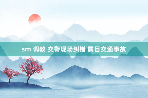 sm 调教 交警现场纠错 属目交通事故