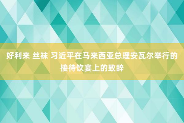 好利来 丝袜 习近平在马来西亚总理安瓦尔举行的接待饮宴上的致辞