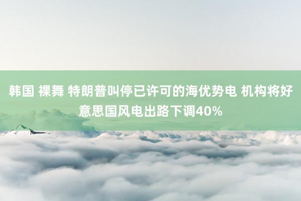 韩国 裸舞 特朗普叫停已许可的海优势电 机构将好意思国风电出路下调40%