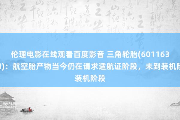 伦理电影在线观看百度影音 三角轮胎(601163.SH)：航空胎产物当今仍在请求适航证阶段，未到装机阶段