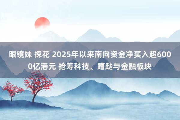 眼镜妹 探花 2025年以来南向资金净买入超6000亿港元 抢筹科技、蹧跶与金融板块