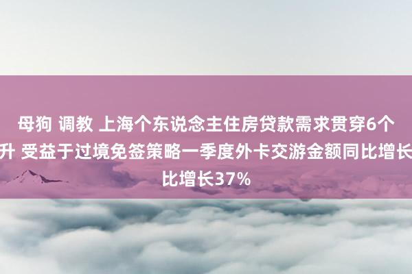 母狗 调教 上海个东说念主住房贷款需求贯穿6个月回升 受益于过境免签策略一季度外卡交游金额同比增长37%
