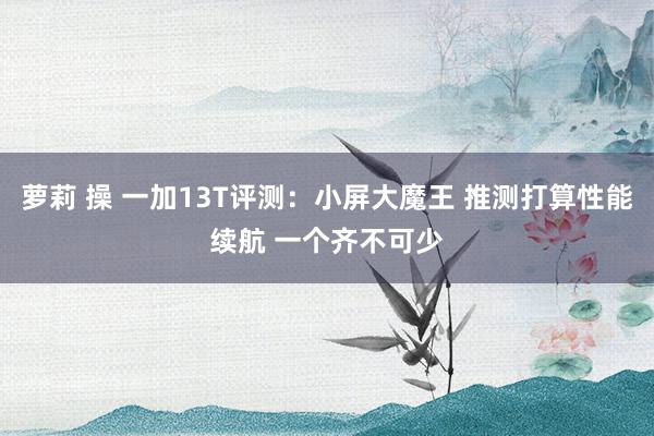 萝莉 操 一加13T评测：小屏大魔王 推测打算性能续航 一个齐不可少