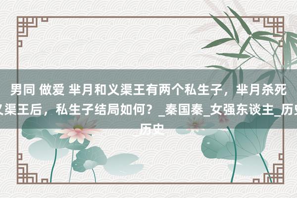 男同 做爱 芈月和义渠王有两个私生子，芈月杀死义渠王后，私生子结局如何？_秦国秦_女强东谈主_历史