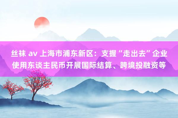 丝袜 av 上海市浦东新区：支握“走出去”企业使用东谈主民币开展国际结算、跨境投融资等