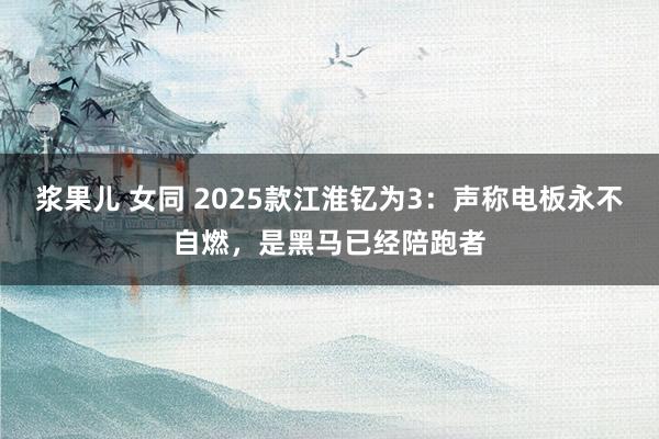 浆果儿 女同 2025款江淮钇为3：声称电板永不自燃，是黑马已经陪跑者