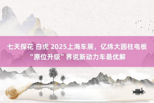 七天探花 白虎 2025上海车展，亿纬大圆柱电板“原位升级”界说新动力车最优解